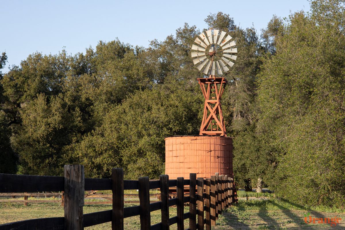 Caspers Wilderness Park - Orange County Outdoors